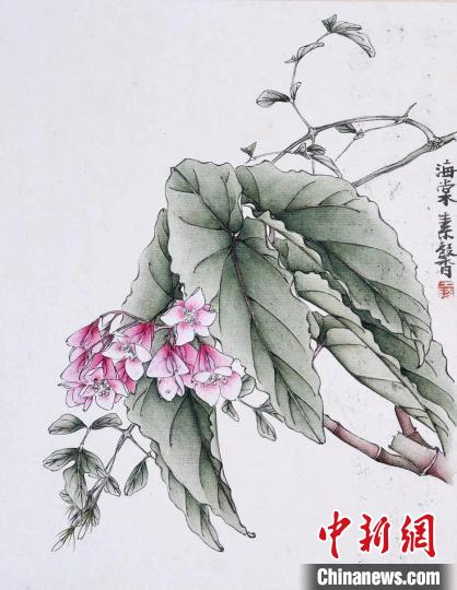 黄士陵《粤中花木册》中的植物广州艺术博物院供图